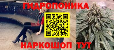 прущие грибы Кулебаки
