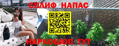 apvp Кунгур