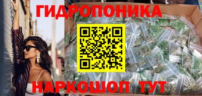 apvp Кунгур