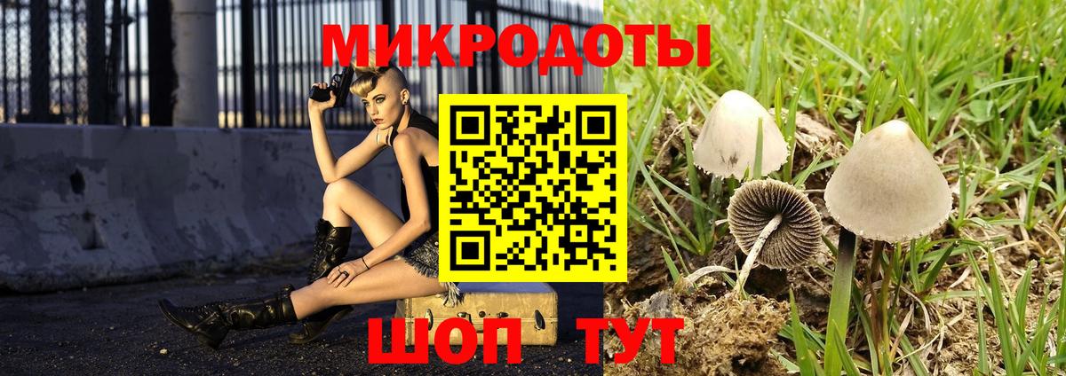 Галлюциногенные грибы прущие грибы Каменск-Шахтинский