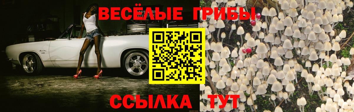 Галлюциногенные грибы прущие грибы  Галлюциногенные грибы Psilocybine cubensis  Каменск-Шахтинский  Вход с VPN 